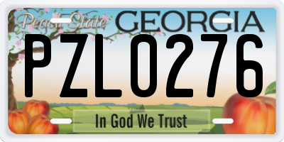 GA license plate PZL0276