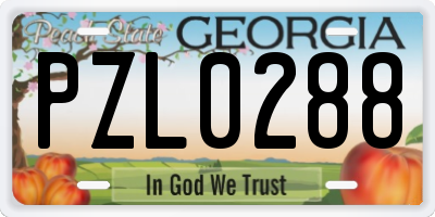 GA license plate PZL0288