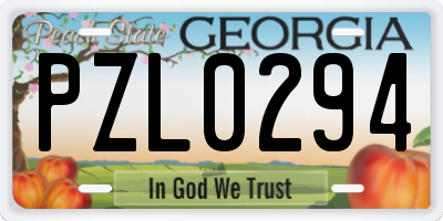 GA license plate PZL0294