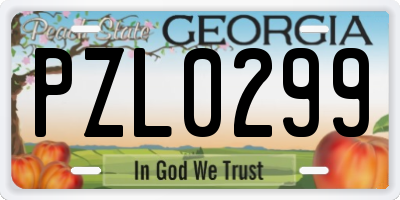 GA license plate PZL0299