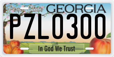 GA license plate PZL0300
