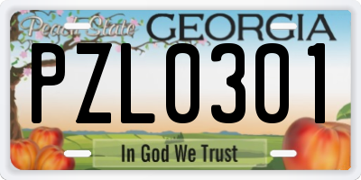 GA license plate PZL0301