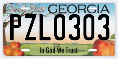GA license plate PZL0303
