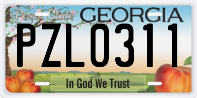 GA license plate PZL0311