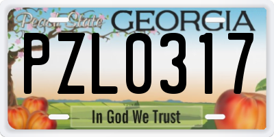 GA license plate PZL0317