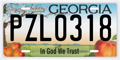 GA license plate PZL0318