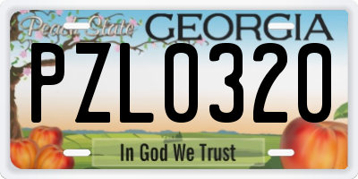 GA license plate PZL0320