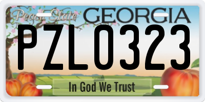 GA license plate PZL0323