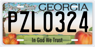 GA license plate PZL0324