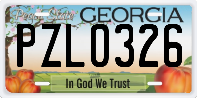 GA license plate PZL0326