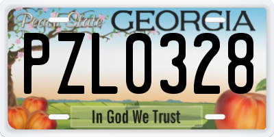 GA license plate PZL0328
