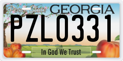 GA license plate PZL0331