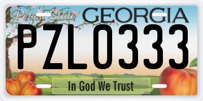 GA license plate PZL0333