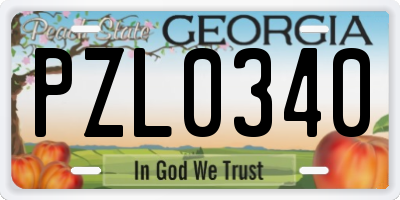 GA license plate PZL0340