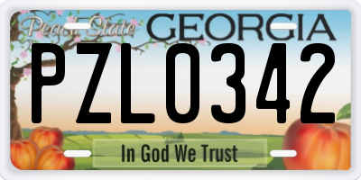 GA license plate PZL0342
