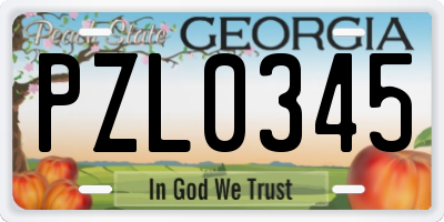 GA license plate PZL0345
