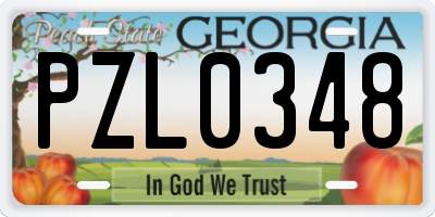 GA license plate PZL0348
