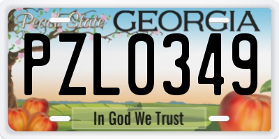 GA license plate PZL0349