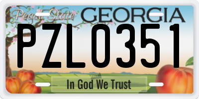 GA license plate PZL0351
