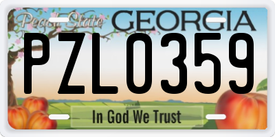 GA license plate PZL0359