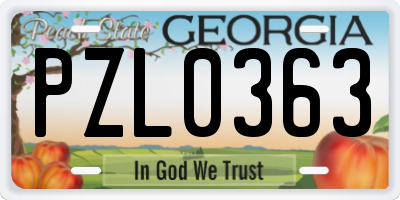 GA license plate PZL0363