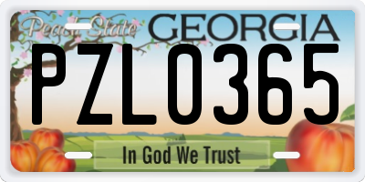 GA license plate PZL0365