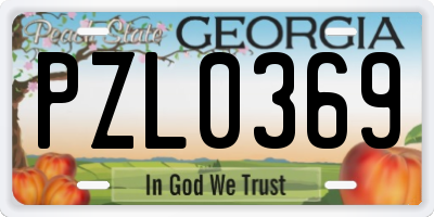 GA license plate PZL0369