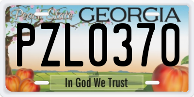 GA license plate PZL0370