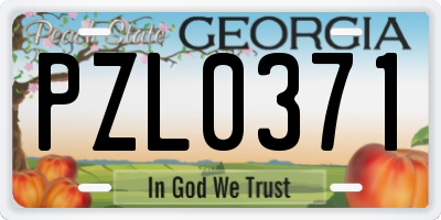 GA license plate PZL0371