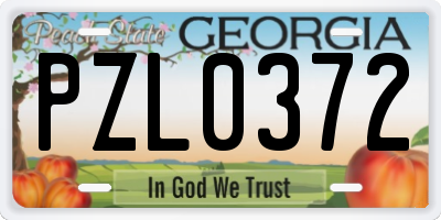 GA license plate PZL0372