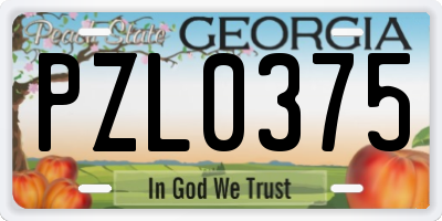 GA license plate PZL0375