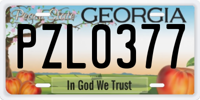 GA license plate PZL0377