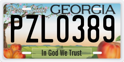 GA license plate PZL0389