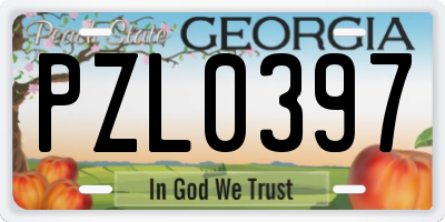 GA license plate PZL0397