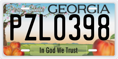 GA license plate PZL0398