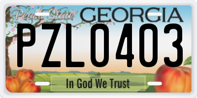 GA license plate PZL0403