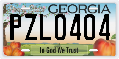 GA license plate PZL0404