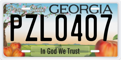 GA license plate PZL0407
