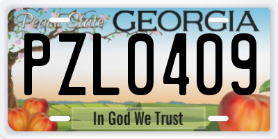 GA license plate PZL0409