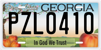 GA license plate PZL0410