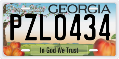 GA license plate PZL0434