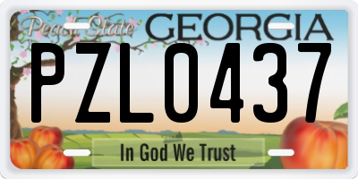 GA license plate PZL0437