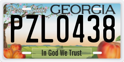 GA license plate PZL0438
