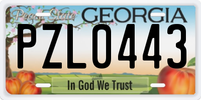 GA license plate PZL0443