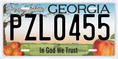 GA license plate PZL0455