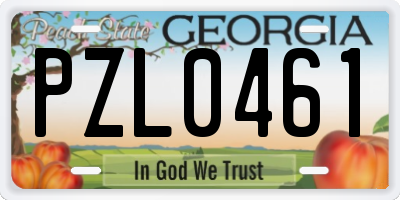 GA license plate PZL0461