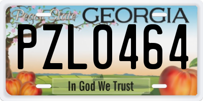 GA license plate PZL0464