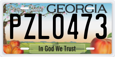 GA license plate PZL0473