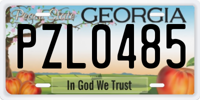 GA license plate PZL0485