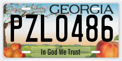 GA license plate PZL0486